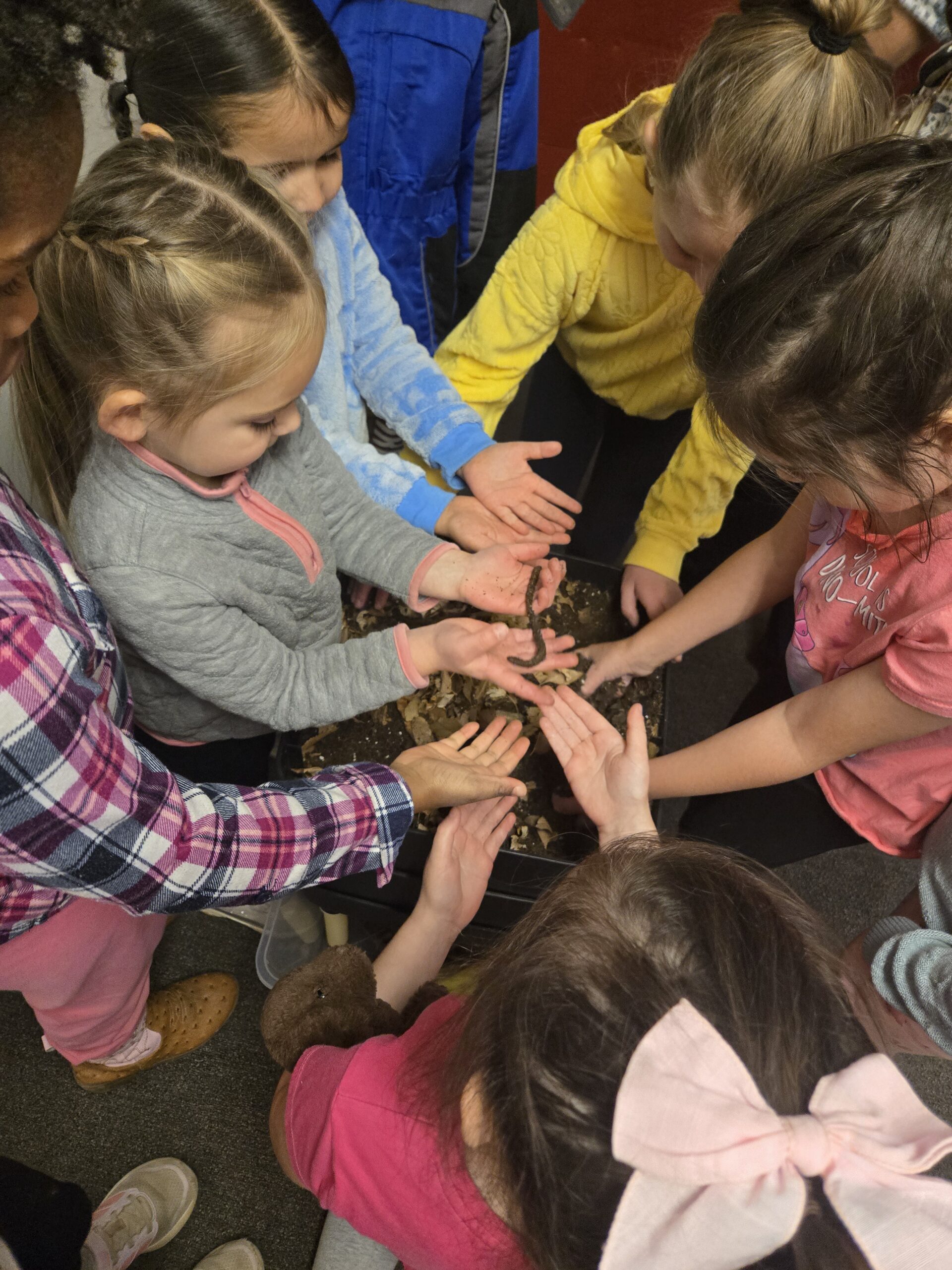 rocky mountain enrichment