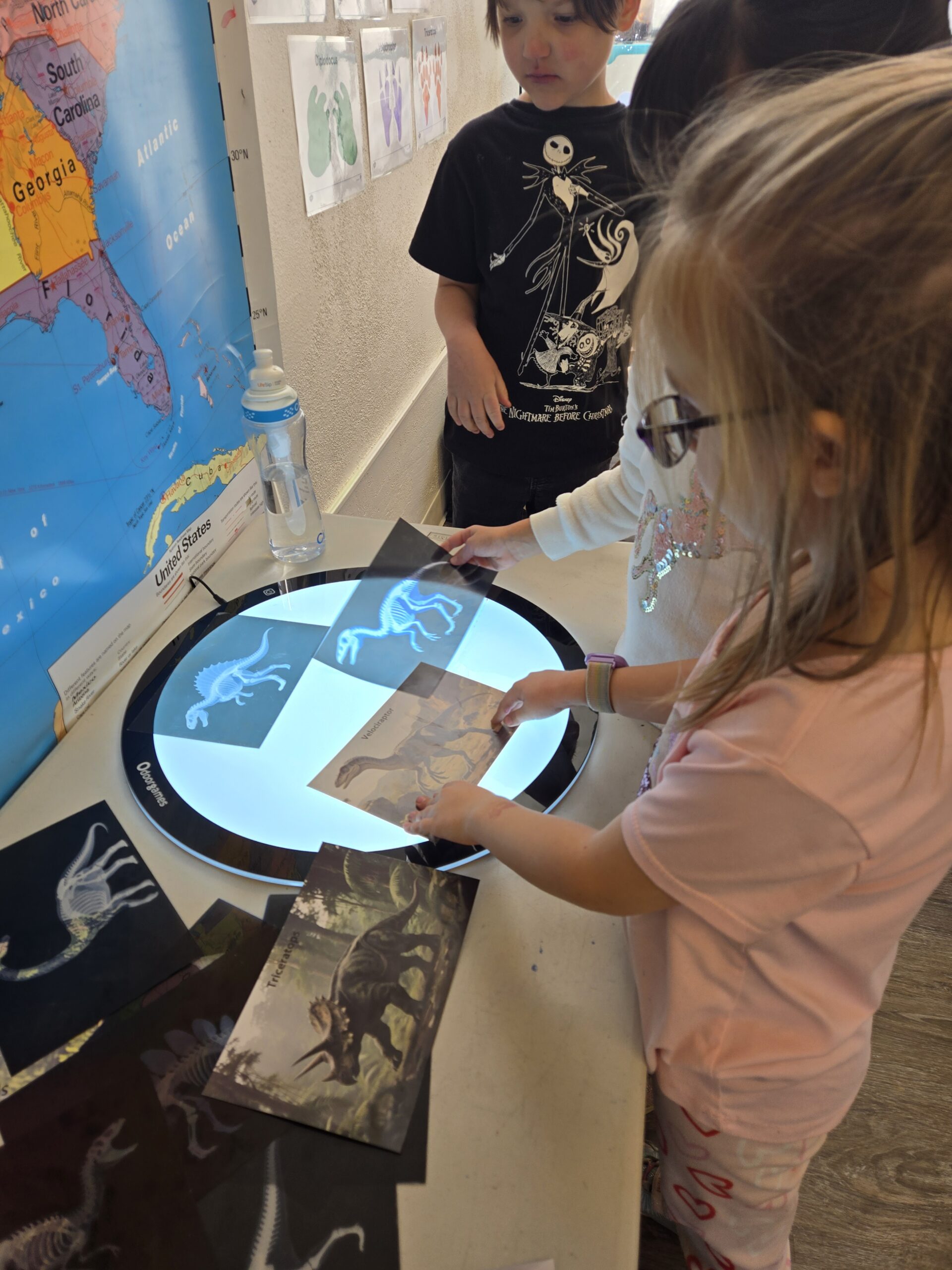 rocky mountain enrichment